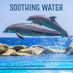 Soothing Water: Liquid Ambient, Whales & Dolphins Sound, Calm Mind, Stressless Life, Relaxing Music, Harmony Balance by Healing Waters Zone album reviews, ratings, credits
