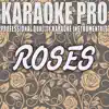 Roses (Originally Performed by the Chainsmokers) [Instrumental Version] song lyrics