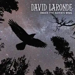 Under the Raven's Wing by David Laronde album reviews, ratings, credits