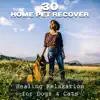 30 Home Pet Recover: Healing Relaxation for Dogs & Cats – Happiness Gift, Calm Down, Spa Treatment, Wellness to Soothe Your Pet album lyrics, reviews, download