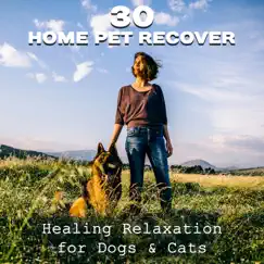30 Home Pet Recover: Healing Relaxation for Dogs & Cats – Happiness Gift, Calm Down, Spa Treatment, Wellness to Soothe Your Pet by Pet Care Club album reviews, ratings, credits