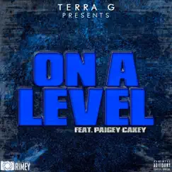 On a Level (feat. Paigey Cakey) - Single by Terra G album reviews, ratings, credits