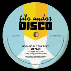 Nothing but the Beat (Hot Toddy Dub Mix) Song Lyrics