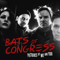 Pictures of me and you - Single by Bats of Congress album reviews, ratings, credits