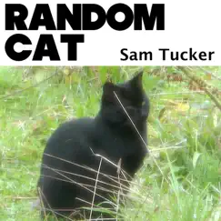 Random Cat - Single by Sam Tucker album reviews, ratings, credits