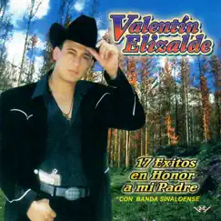 17 Éxitos en Honor a Mi Padre by Valentín Elizalde album reviews, ratings, credits