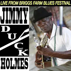 Jimmy Duck Holmes at Briggs Farm Blues Festival by Jimmy 