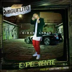 El Expediente - Single by Miguelito album reviews, ratings, credits