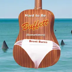 Hard to Be Buffett, (Sometimes) [feat. Steven Dean & Bill Whyte] Song Lyrics