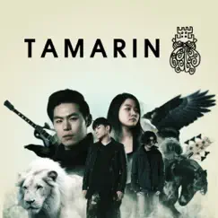 안개꽃 Baby's Breath - Single by Tamarin album reviews, ratings, credits