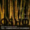 This! - Commentaries of the Bamboos album lyrics, reviews, download