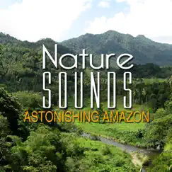 Nature Sounds: Astonishing Amazon by Chacra Music album reviews, ratings, credits