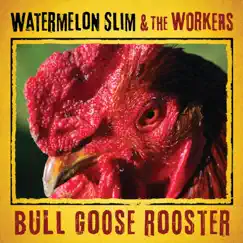 Bull Goose Rooster by Watermelon Slim & The Workers album reviews, ratings, credits