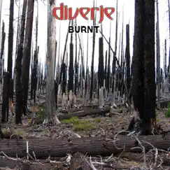 Burn Away (Detuned Destruction Remix) Song Lyrics