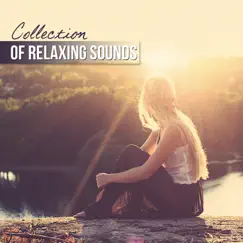 Collection of Relaxing Sounds and Meditation Songs - Music Therapy, Healing Nature Sounds, New Age for Relaxation, Yoga, Therapeutic Massage by Relaxing Music Pro Effects Unlimited album reviews, ratings, credits