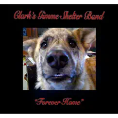 Forever Home - Single by Clark's Gimme Shelter Band album reviews, ratings, credits