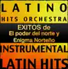 Éxitos de El poder del norte y Enigma norteño album lyrics, reviews, download