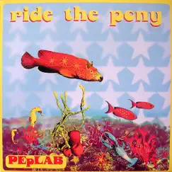 Ride the Pony (Original Mix) [Original Mix] Song Lyrics