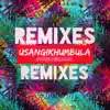 Usangikhumbula (Jonny Miller Vip Remix) song lyrics