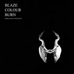 Blaze Colour Burn (Fiepblatter Catalogue #1) by Jan St. Werner album reviews, ratings, credits