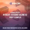 Intricate Sessions Volume 02: PROFF's Sampler - Single album lyrics, reviews, download