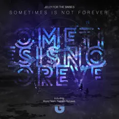 Sometimes Is Not Forever (Napalm Remix) Song Lyrics