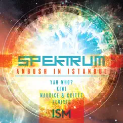 Ambush In Istanbul - EP by Spektrum album reviews, ratings, credits