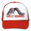 The Rally Squirrel - Single album lyrics, reviews, download
