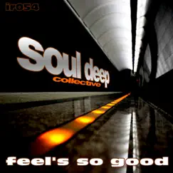 Feel's So Good - Single by Soul Deep Collective album reviews, ratings, credits