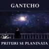 Prituri se planinata (Balkansky Robobaroque Mix) song lyrics