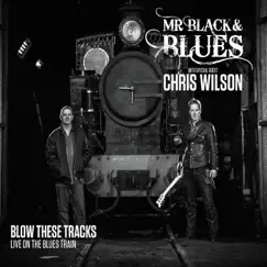 Broken Heart Blues (Live) [feat. Chris Wilson] Song Lyrics