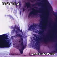 Canis Majoris by Esquela album reviews, ratings, credits
