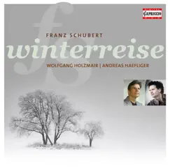 Winterreise, Op. 89, D. 911: No. X. Rast Song Lyrics