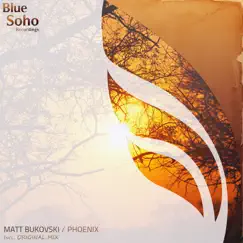 Phoenix - Single by Matt Bukovski album reviews, ratings, credits
