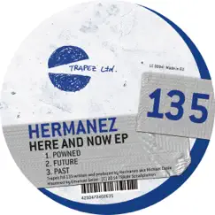 Here and now ep - Single by Hermanez album reviews, ratings, credits