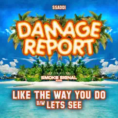 Like the Way You Do / Lets See - Single by Damage Report album reviews, ratings, credits