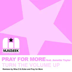 Turn the Volume Up (Pray for More's in Love With Mjuzieek Instrumental Mix) [feat. Annette Taylor] Song Lyrics