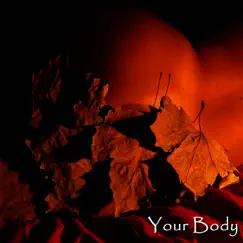 Your Body - Single by Zeni N album reviews, ratings, credits