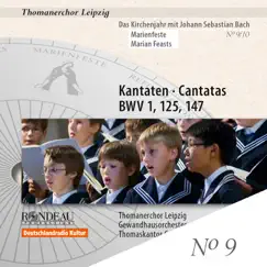 Das Kirchenjahr mit Johann Sebastian Bach, Vol. 9 (Marienfeste) - Kantaten BWV 1, 125, 147 by St Thomas's Boys Choir Leipzig, Georg Christoph Biller & Gewandhausorchester album reviews, ratings, credits