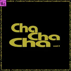 Italian Boy (Cha Cha Chá) Song Lyrics