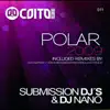 Polar 2009 (Remixes) - Single album lyrics, reviews, download