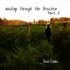 Wading Through the Bracken, Pt. 1 - EP album lyrics, reviews, download