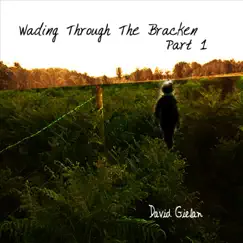 Wading Through the Bracken, Pt. 1 - EP by David Gielan album reviews, ratings, credits