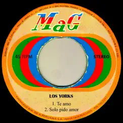 Solo Pido Amor Song Lyrics