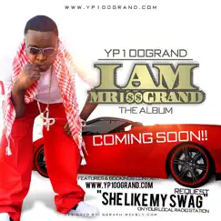 She Like My Swag (Clean) - Single by Yp100grand album reviews, ratings, credits