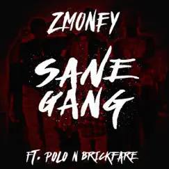Sane Gang (feat. Polo & Brickfare) - Single by Zmoney album reviews, ratings, credits