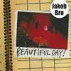 Beautiful Day album lyrics, reviews, download