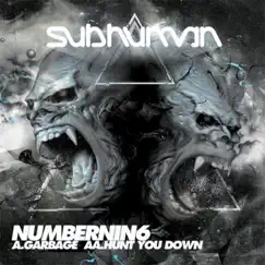 Garbage / Hunt You Down - Single by Numbernin6 album reviews, ratings, credits