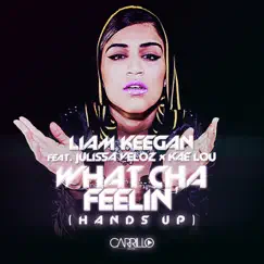 What Cha Feelin' (Hands Up) [feat. Julissa Veloz & Kae Lou] [Liam Keegan Radio Mix] Song Lyrics