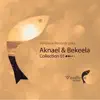 Reunion (Aknael & Bekeela Remix) [feat. Dasha] song lyrics